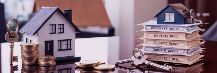 Real-Estate-Asset-Management