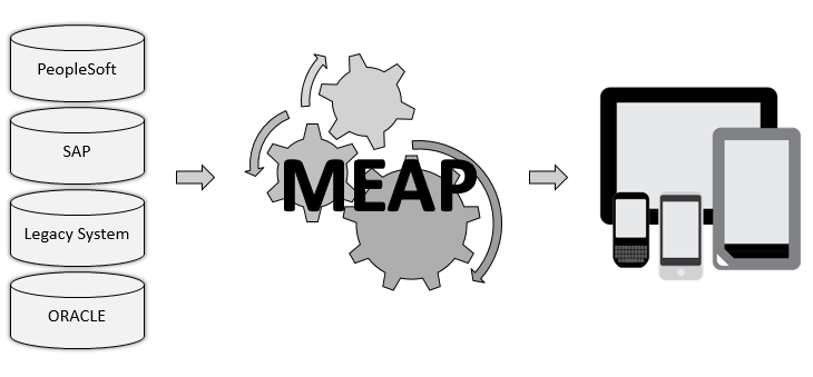 MEAP-Diagram
