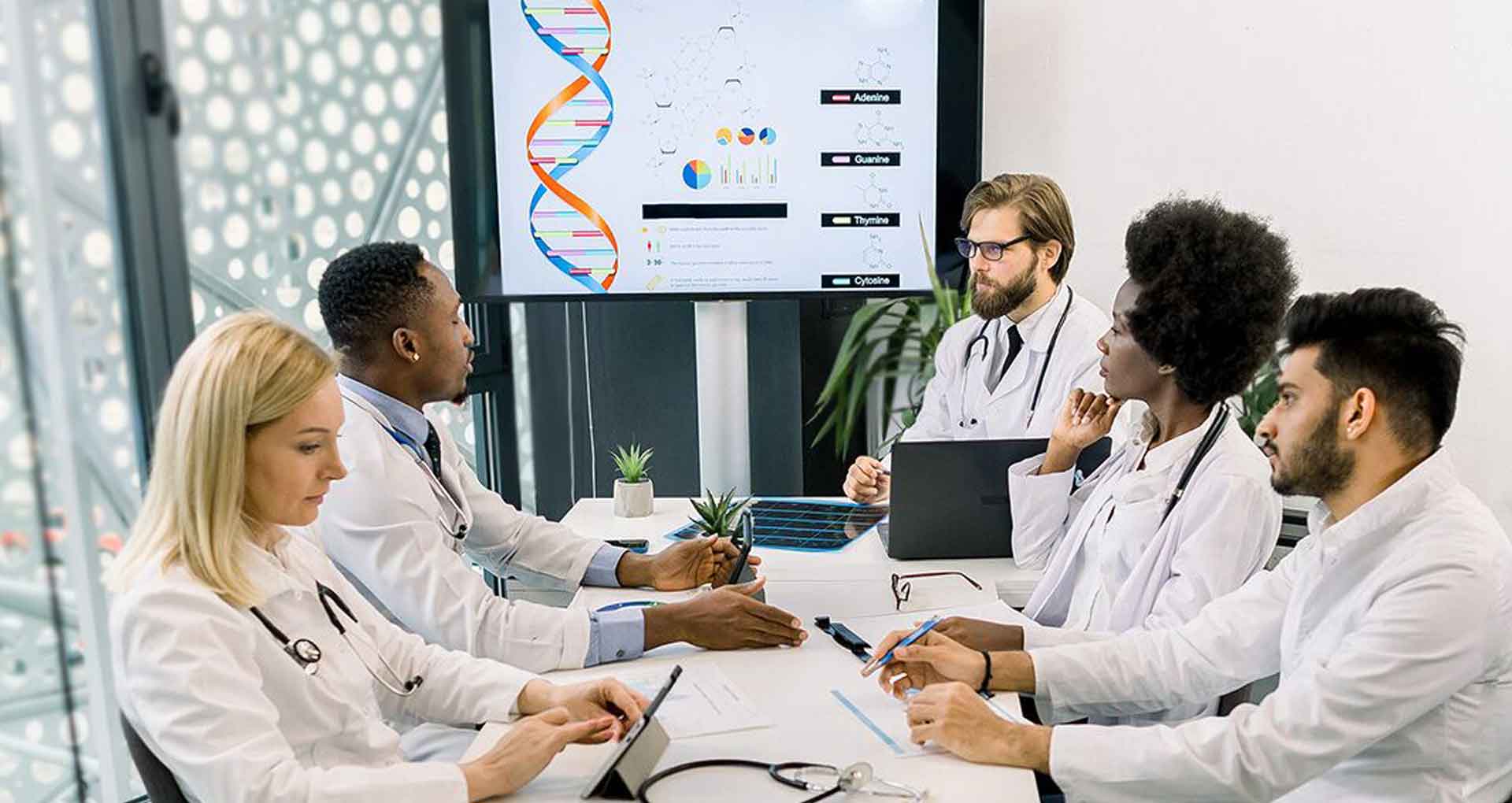 All you need to know about building EHR software