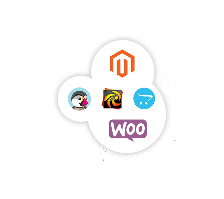 custom ecommerce development solutions using Magento, Woocommerce and more