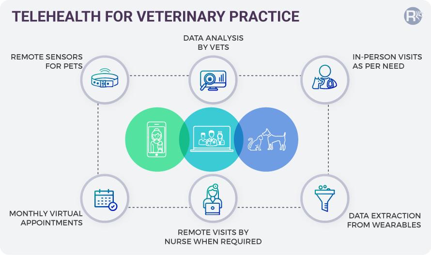 Telehealth Solution for Veterinary Practice