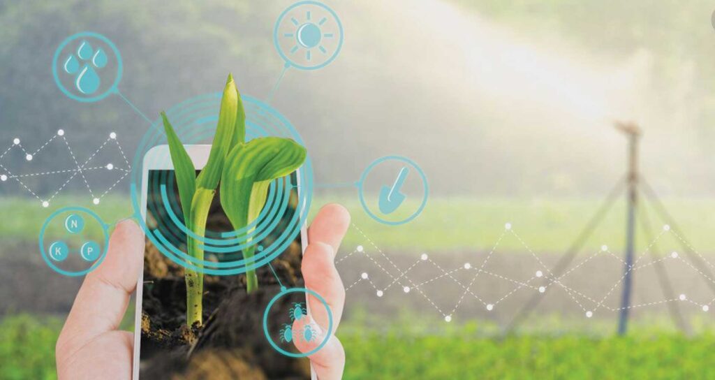 Internet of Things in agriculture industry