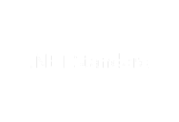 NET Standard
